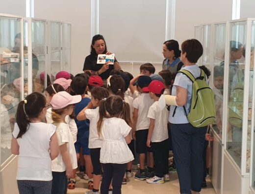 Visitatori durante una visita guidata al Museo del Corallo Bianco Leukos