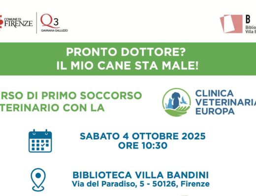 Primo soccorso veterinario: una lezione gratuita per aiutare il tuo cane!