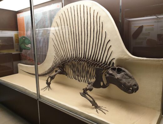 Museo Civico di Storia Naturale di Milano
