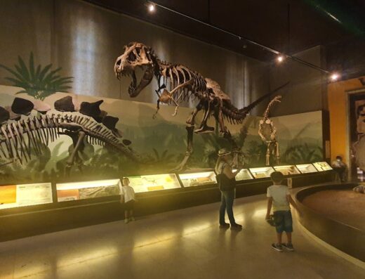 Museo Civico di Storia Naturale di Milano