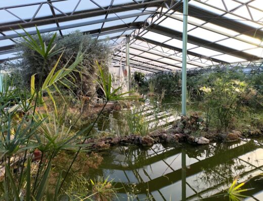 Parco Naturale e Giardino Botanico in Acquaponica EZEN