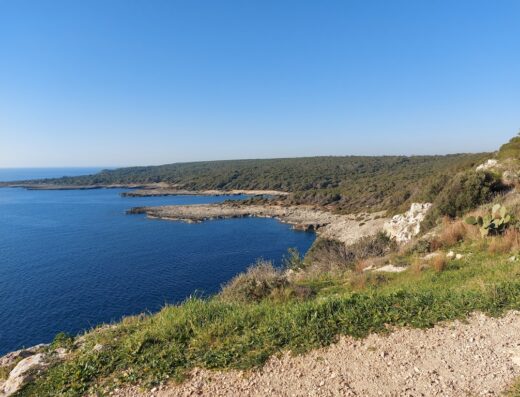 Parco naturale regionale Porto Selvaggio e Palude del Capitano