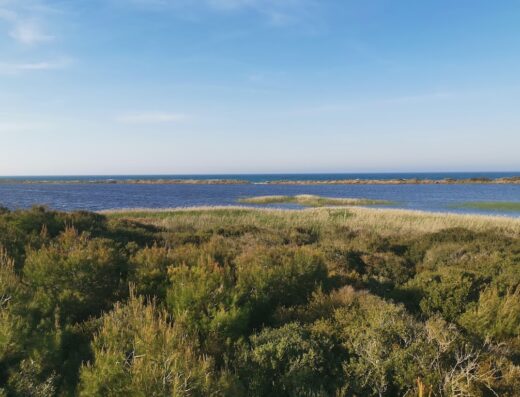 Riserva Naturale Le Cesine