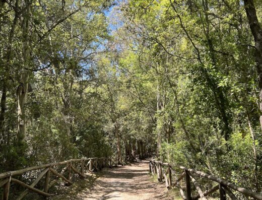 Riserva Naturale Le Cesine
