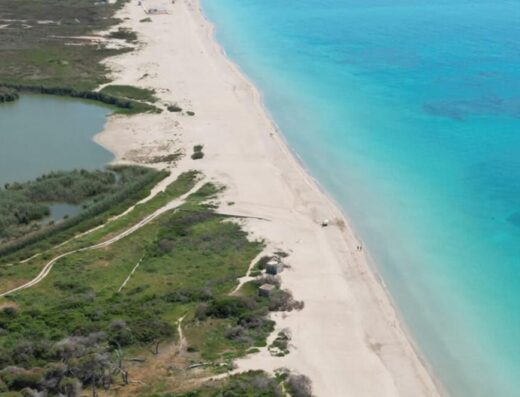 Esplorando a Lido Pineta 2026: Camminare il Paesaggio nel Salento